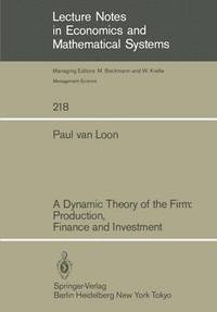 bokomslag A Dynamic Theory of the Firm: Production, Finance and Investment