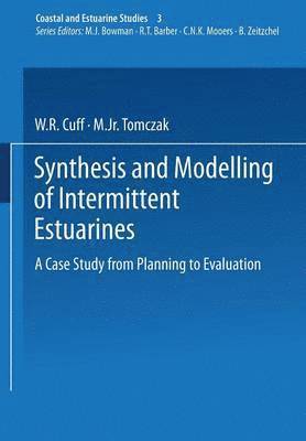 bokomslag Synthesis and Modelling of Intermittent Estuaries