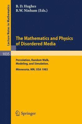 B.D. Hughes, B.W. Ninham, B. D. Hughes, B. W. Ninham - Mathematics and Physics of Disordered Media, Häftad