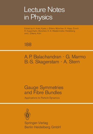 A.P. Balachandran, G. Marmo, B.-S. Skagerstam, A. Stern - Gauge Symmetries and Fibre Bundles, Häftad