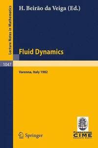 bokomslag Fluid Dynamics