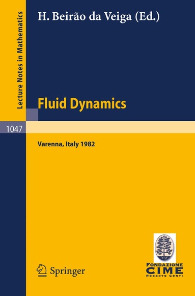 H. Beirao da Veiga - Fluid Dynamics, Häftad