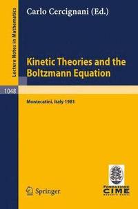 bokomslag Kinetic Theories and the Boltzmann Equation