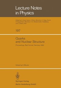bokomslag Quarks and Nuclear Structure