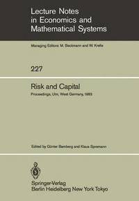 bokomslag Risk and Capital