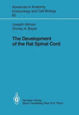 bokomslag The Development of the Rat Spinal Cord