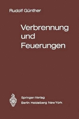 bokomslag Verbrennung und Feuerungen