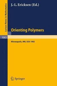 bokomslag Orienting Polymers