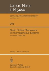 bokomslag Static Critical Phenomena in Inhomogeneous Systems