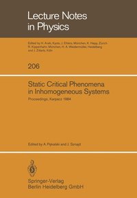 bokomslag Static Critical Phenomena in Inhomogeneous Systems