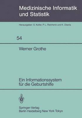 bokomslag Ein Informationssystem für die Geburtshilfe