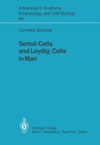 bokomslag Sertoli Cells and Leydig Cells in Man