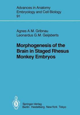 bokomslag Morphogenesis of the Brain in Staged Rhesus Monkey Embryos