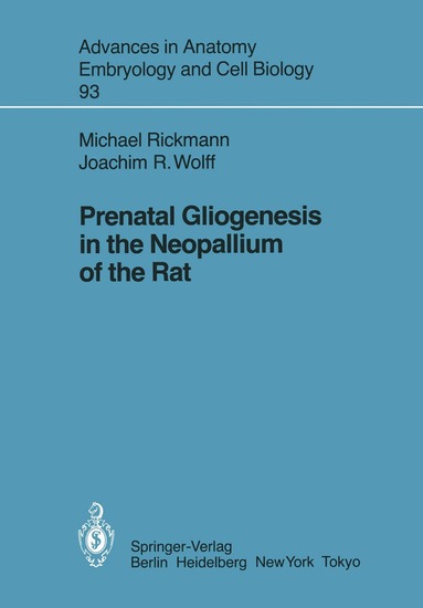 Michael Rickmann, Joachim R. Wolff - Prenatal Gliogenesis in the Neopallium of the Rat, Häftad