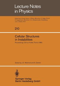 bokomslag Cellular Structures in Instabilities