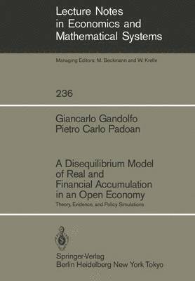 bokomslag A Disequilibrium Model of Real and Financial Accumulation in an Open Economy