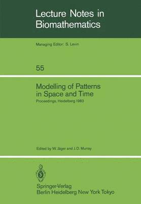 Modelling of Patterns in Space and Time 1