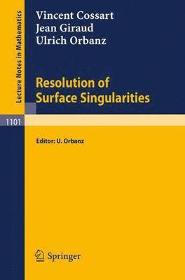 Resolution of Surface Singularities 1