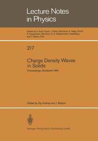 bokomslag Charge Density Waves in Solids