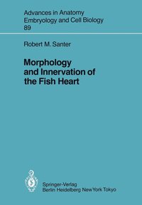 bokomslag Morphology and Innervation of the Fish Heart