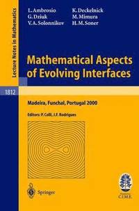 bokomslag Mathematical Aspects of Evolving Interfaces