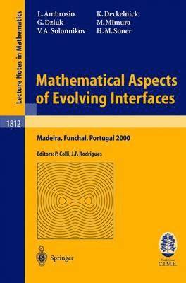 Mathematical Aspects of Evolving Interfaces 1