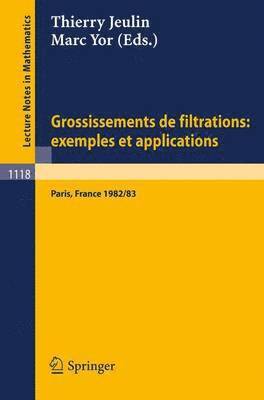 bokomslag Grossissements de filtrations: exemples et applications