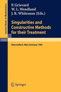 bokomslag Singularities and Constructive Methods for Their Treatment