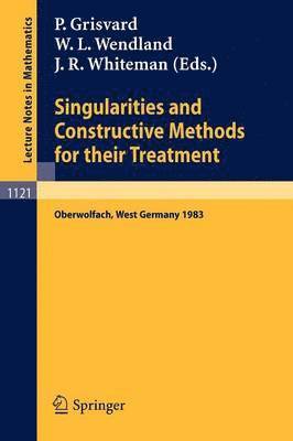 Singularities and Constructive Methods for Their Treatment 1