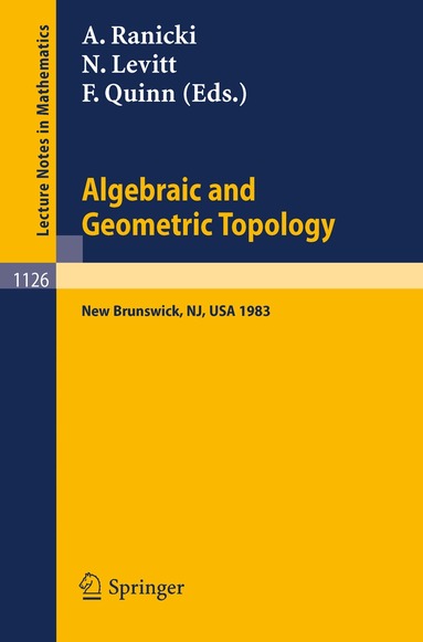 Andrew Ranicki, Norman Levitt, Frank Quinn - Algebraic and Geometric Topology, Häftad