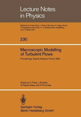 bokomslag Macroscopic Modelling of Turbulent Flows