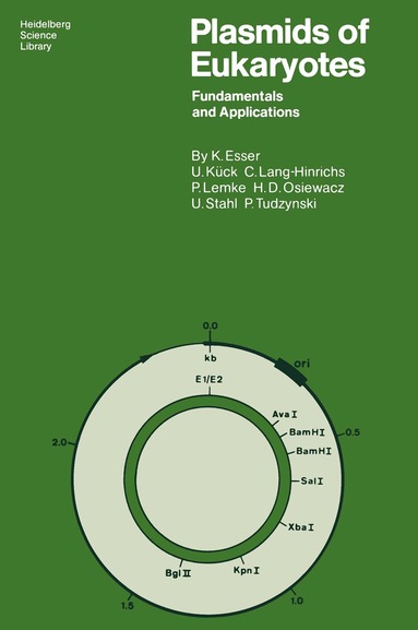 Karl Esser, Ulrich Kück, Christine Lang-Hinrichs, Paul Lemke, Heinz D. Osiewacz, Ulf Stahl, Paul Tudzynski - Plasmids of Eukaryotes, Häftad