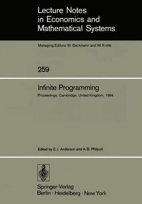 bokomslag Infinite Programming