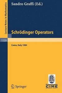 bokomslag Schrdinger Operators, Como 1984