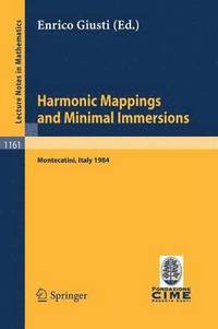 bokomslag Harmonic Mappings and Minimal Immersion