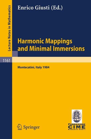 Enrico Giusti - Harmonic Mappings and Minimal Immersion, Häftad
