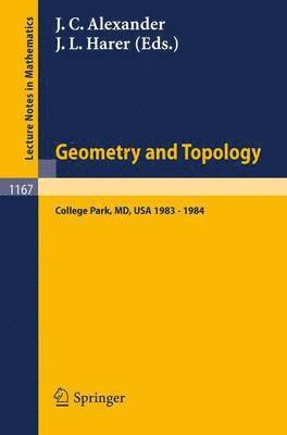 bokomslag Geometry and Topology