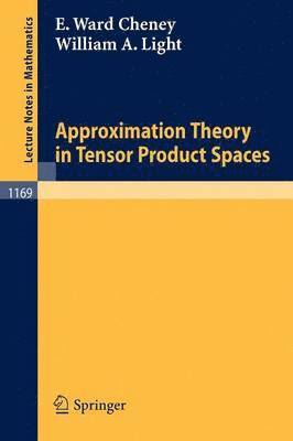 Approximation Theory in Tensor Product Spaces 1