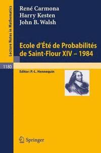 bokomslag Ecole d'Ete de Probabilites de Saint Flour XIV, 1984