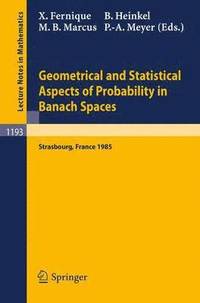 bokomslag Geometrical and Statistical Aspects of Probability in Banach Spaces