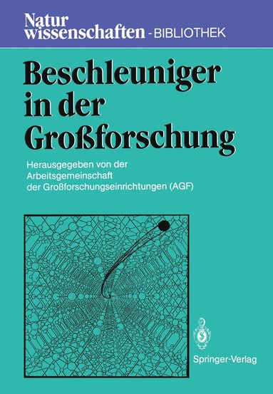 bokomslag Beschleuniger in der Groforschung