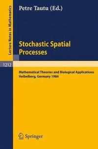 bokomslag Stochastic Spatial Processes