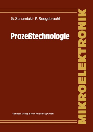 Günter Schumicki, Peter Seegebrecht - Prozeßtechnologie, Häftad