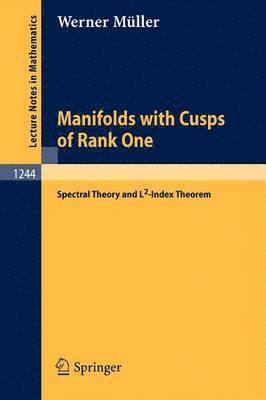 Manifolds with Cusps of Rank One 1