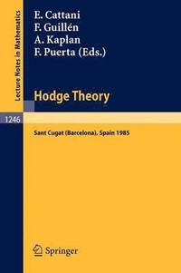bokomslag Hodge Theory