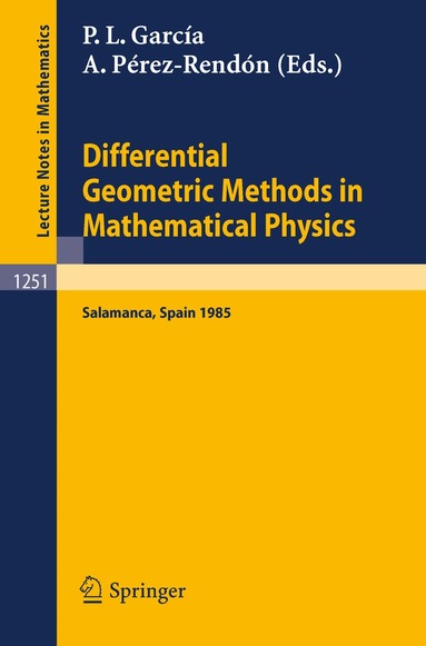Pedro L. Garcia, Antonio Perez-Rendon - Differential Geometric Methods in Mathematical Physics, Häftad