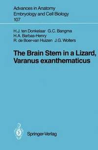 bokomslag The Brain Stem in a Lizard, Varanus exanthematicus