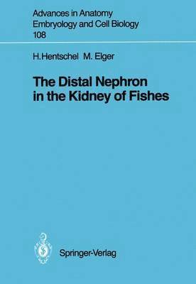 bokomslag The Distal Nephron in the Kidney of Fishes
