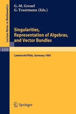 Singularities, Representation of Algebras, and Vector Bundles 1