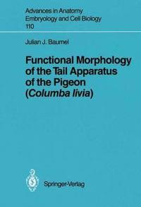 bokomslag Functional Morphology of the Tail Apparatus of the Pigeon (Columba livia)